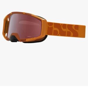 IXS Trigger race googles